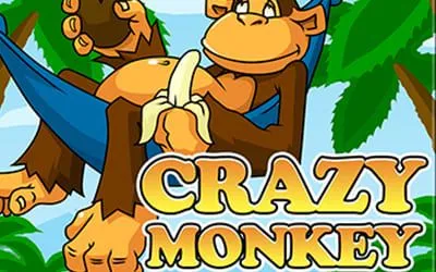 Превью слота Crazy Monkey с риск-игрой на удвоение
